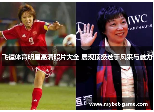 飞镖体育明星高清照片大全 展现顶级选手风采与魅力